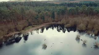 Mavic mini Delamere Forest Blakemere by Marc Lewis 67 views 4 years ago 6 minutes, 8 seconds