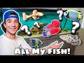 ALL MY MYSTERY FISH IN ONE VIDEO! (Official Fish Guy Tour)