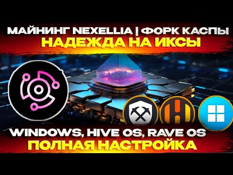 🔥 Надежа на ИКСЫ. Майнинг Nexellia (NXL) Настройка на WINDOWS, HIVE OS и RAVE OS. Веб-кошелек и нода