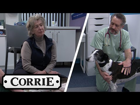 Evelyn Says Her Goodbyes To Cerberus | Coronation Street