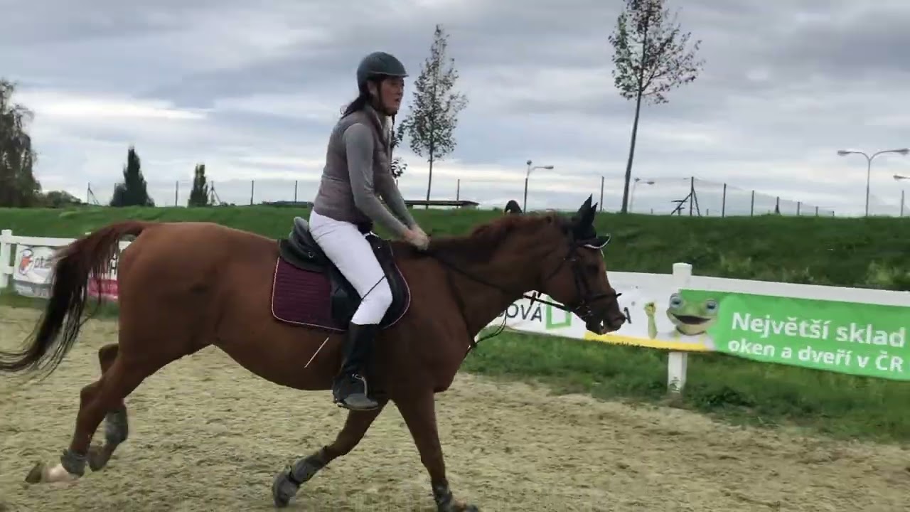 Drásov a skokový trénink 🏇Jaru a Dantes