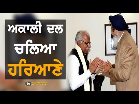 ਹੁਣ ਅਕਾਲੀ ਦਲ ਵੱਲੋਂ ਹਰਿਆਣਾ `ਚ ਪਾਈ ਜਾਵੇਗੀ ਸਾਂਝ | TV Punjab