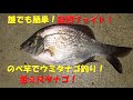 簡単誰でも簡単！　のべ竿でウミタナゴ釣り！　猛烈ファイト！狙え尺タナゴ！　防波堤　ミャク釣り