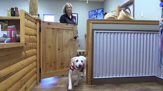 Virtual Tour Of Camp