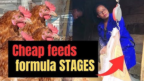 How to formulate cheap poultry feeds /layers// Ingrediates and stages of mixing chicken feeds.part 1