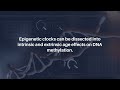 Recalibrate Concepts of Epigenetic Aging Clocks in Human Health | Aging-US
