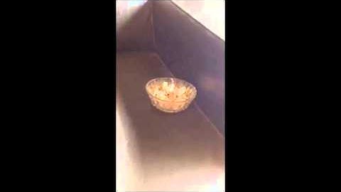 Buttkicker lfe vs a full ashtray