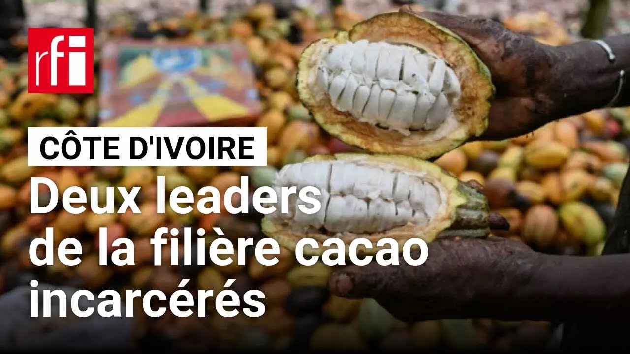 Côte d'Ivoire : deux leaders de la filière cacao accusés de diffamation et de calomnie incarcérés