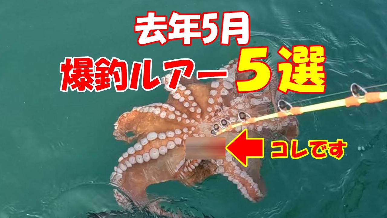 Before the 2026 Season Opening] Top 5 Akashi Octopus Lures That