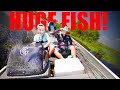 Catching The BIGGEST BASS On My NEW BASS BOAT! (Florida ep.1)