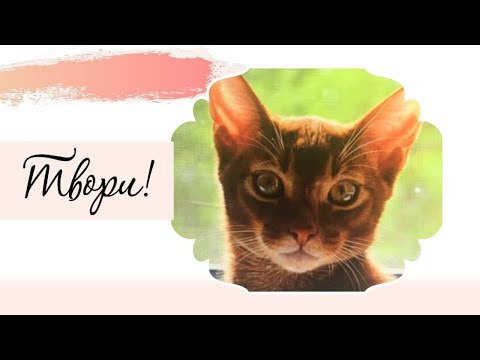 Вышивка морда кота