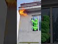해충 퇴치: 말벌집 제거하기 #worker #process #wasp #pestcontrol #removal