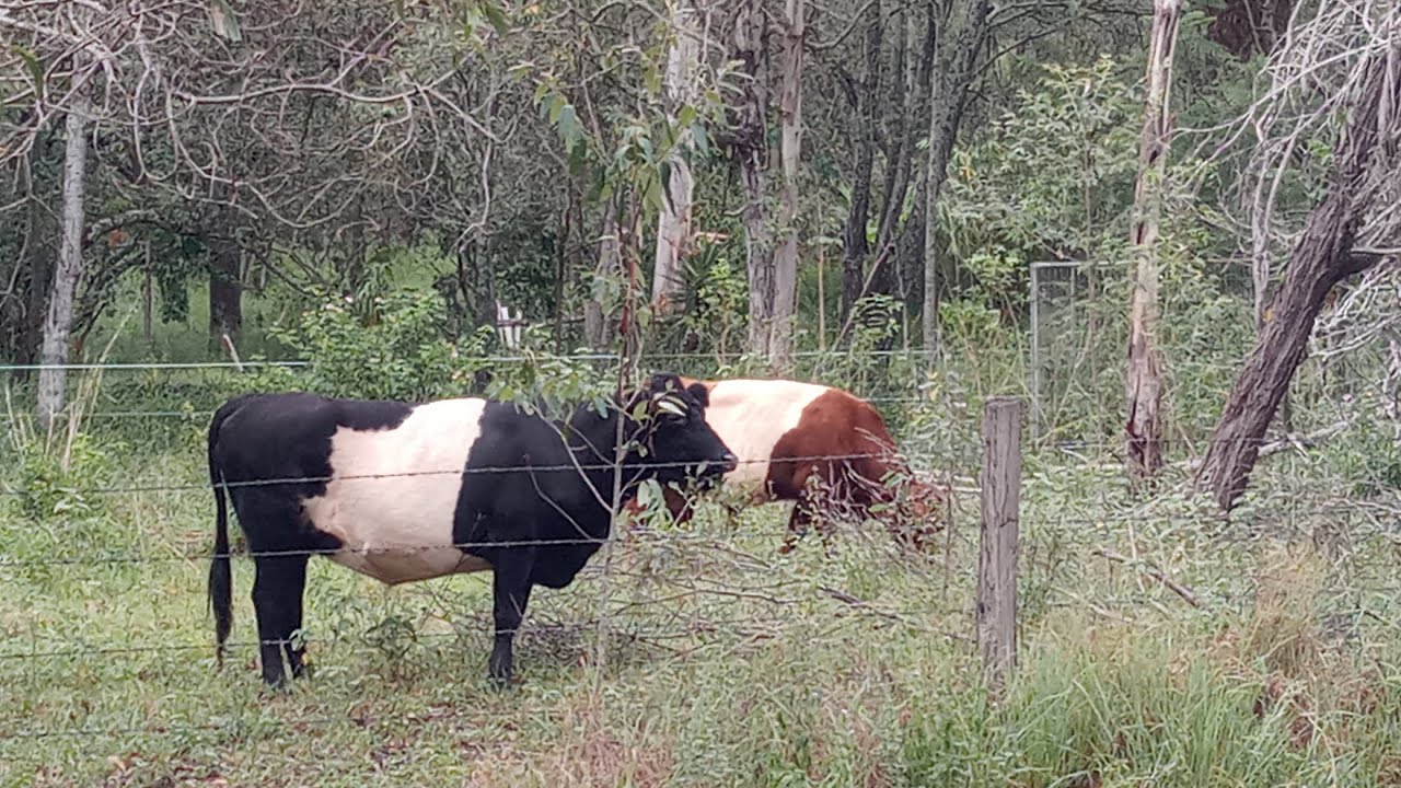 BRISBANE VALLEY RAIL TRAIL WALK. ENJOY 🙂. 