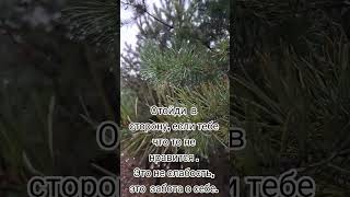 Забота о себе. #душа #жизнь #смыслжизни