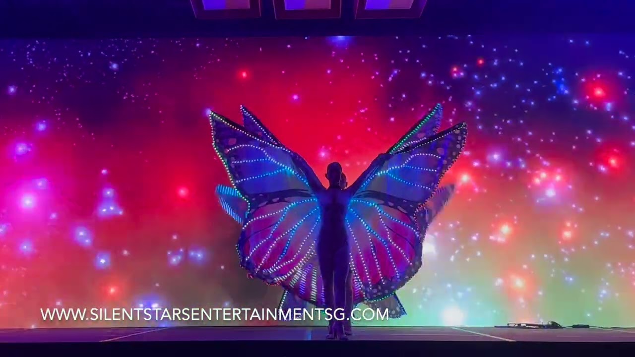 Hire LED Butterfly wings in singapore
