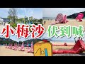 [試伏員🫣] 深圳最新景點🏖️小梅沙中大伏！🤬入場費勁貴🤑乜都另收費🥴樣樣未整好🚧工地裏遊水🏊?!