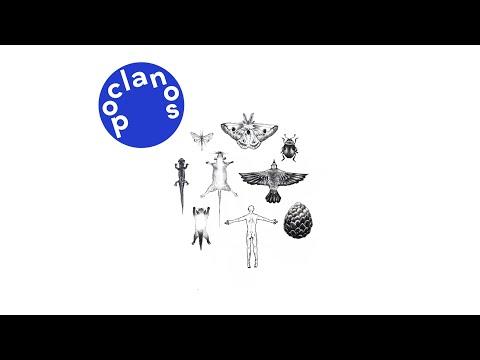 [Official Audio] 에로틱웜즈익스히비션 (Erøtic Wørms Exhibitiøn) - Bones And Wheels