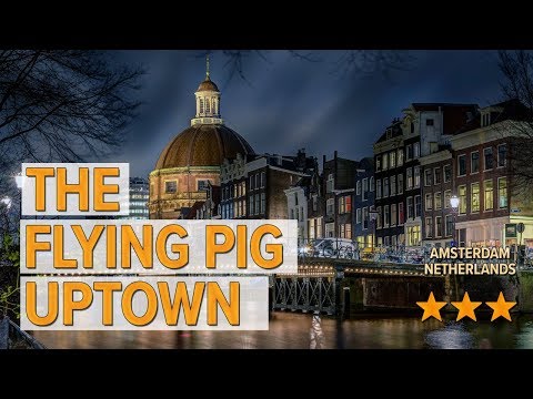 the flying pig uptown hotel review hotels in amsterdam netherlands hotels