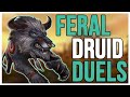 Feral druid pvp duels 1v1  warmane 335 pvp wotlk classictips 2022