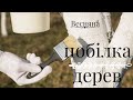 Весняна ПОБІЛКА | Для чого, коли і як | ForestInspire 🌙🌳