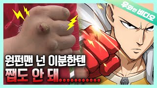 원펀맨.. 미안하지만 당신도 이 분한테는 원펀치예요 | Dear One Punch Man... Sorry, but This Man Can K.O. You.. screenshot 5