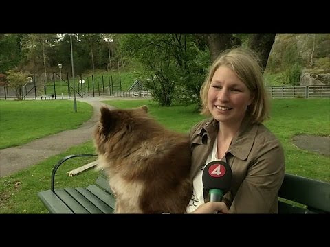 Video: Blev bestulen på min telefon?