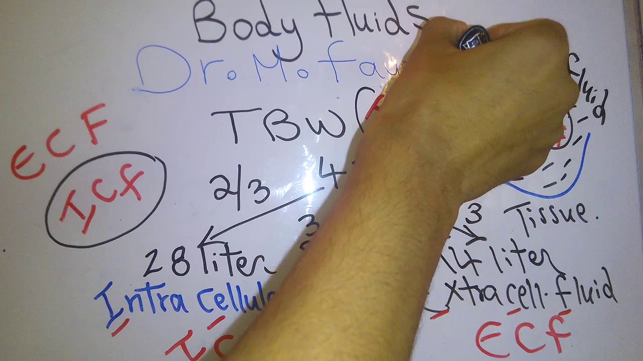 Introduction new system (Body fluids part 1) dr mohamed fayez