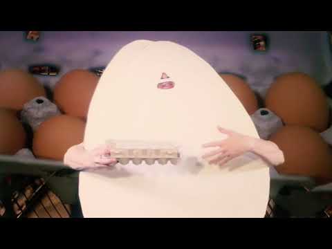 I Like Egg's - Josh Isn't