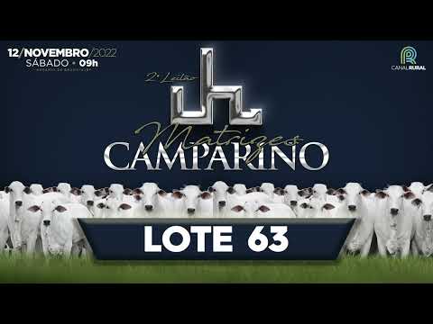LOTE 63
