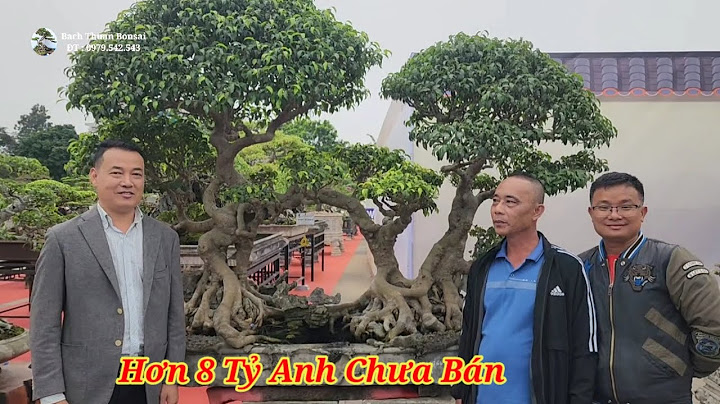 Câu so sánh không có từ so sánh