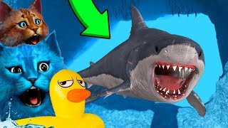 :       SHARKBITE IN ROBLOX Ҩ    