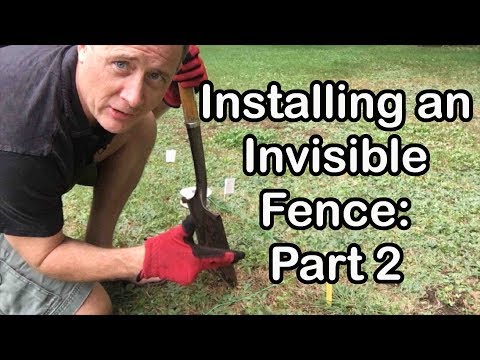 how-i-easily-installed-an-invisible-fence-on-a-saturday-|-part-2