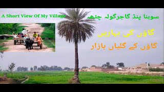 kithey gaiyan pind diyan tahliyan     village Gajar Gola dec 2021