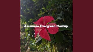 Assamese Evergreen (Mashup)