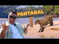 Pantanal | Biomas do Brasil | Ep.2