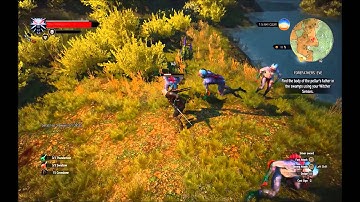 Witcher 3 - Shadowplay recording test