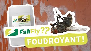Fall Fly : La révolution contre les mouches en élevage !
