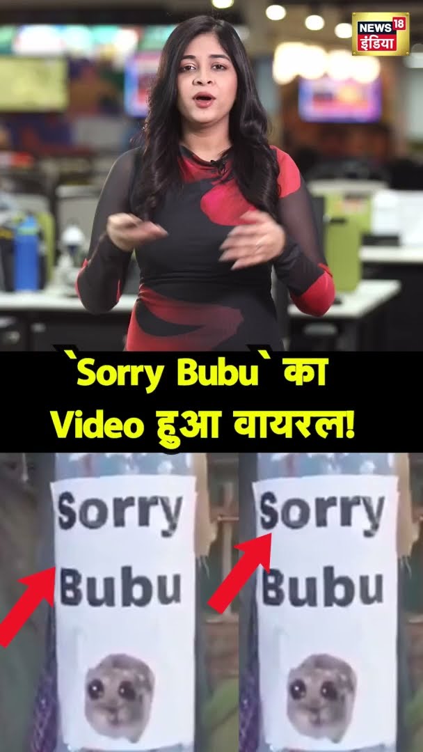 `Sorry Bubu` का Video हुआ वायरल! | #shorts | Viral video | Viral Shorts