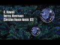 D hawaii  verres hivernaux session house music 03
