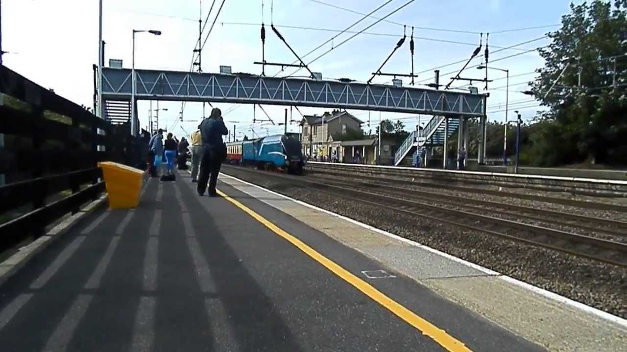 Bittern at 90MPH with The Ebor Streak 29 June 2013