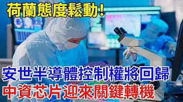 荷蘭態度鬆動！安世半導體控制權有望迴歸聞泰，中資芯片佈局迎來關鍵轉機！#國際熱點 #荷蘭 #安世半導體