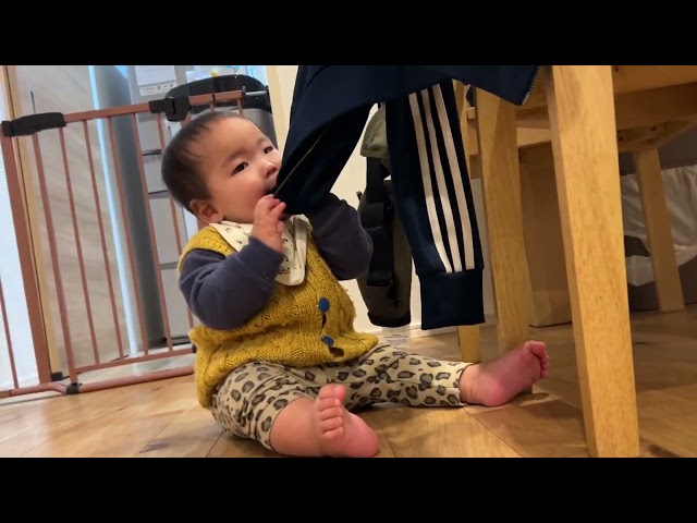 [癒し]お座りが上手になった赤ちゃん