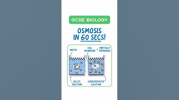 GCSE Biology - Osmosis in 60 seconds