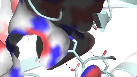 Human MTH1 bound to the inhibitor TH287