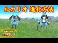 【リオル → ルカリオ やすらぎのすず】特殊進化方法 アイテム入手方法 攻略【ポケモン スカーレット・バイオレット】