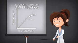 Endpoint PCR, quantitative PCR and digital PCR