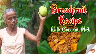 Breadfruit Recipes With Coconut Milk | cuisine of sri lanka