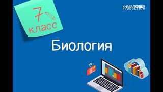 Биология. 7 класс. Органы кровообращения у животных: у кольчатых червей, моллюсков, членистоногих