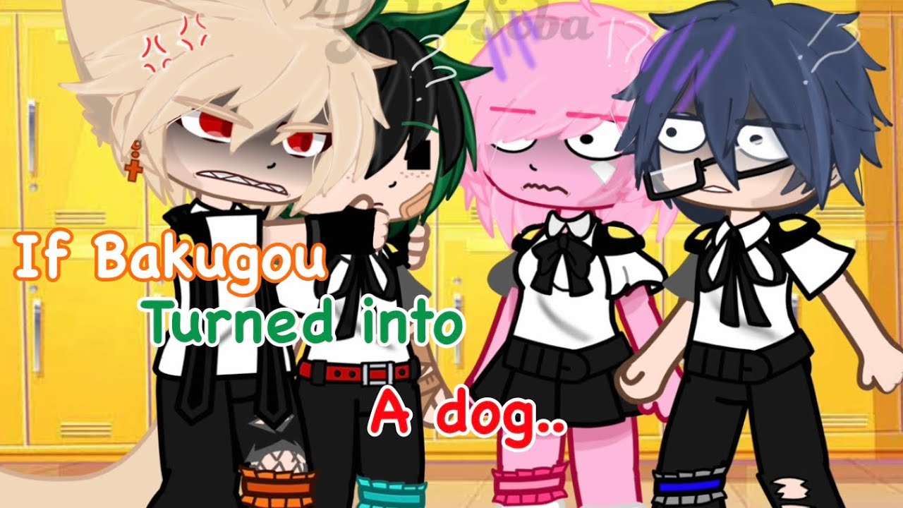 Mha” Pomeranian Bakugou😟” [𝘉𝘢𝘬𝘶𝘋𝘦𝘬𝘶] {𝘱𝘶𝘱𝘱𝘺 𝘉𝘢𝘬𝘶}￼
