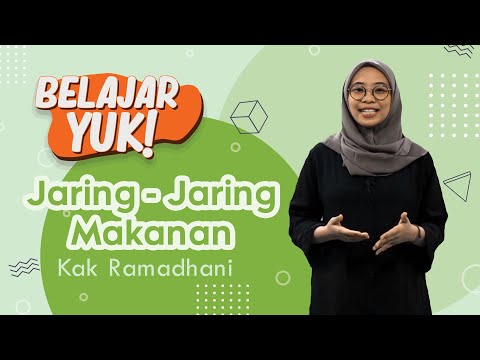 Video: Apa perbedaan antara rantai makanan dan jaring-jaring makanan?